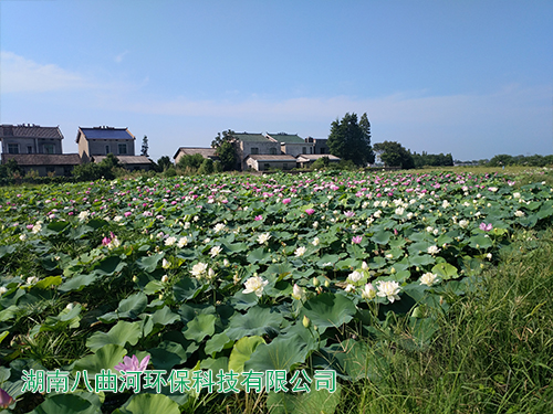 生態基地